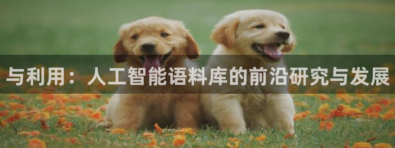 与利用：人工智能语料库的前沿研究与发展