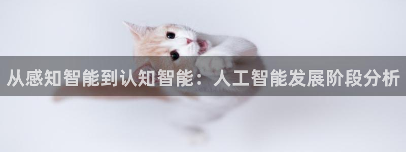 从感知智能到认知智能：人工智能发展阶段分析