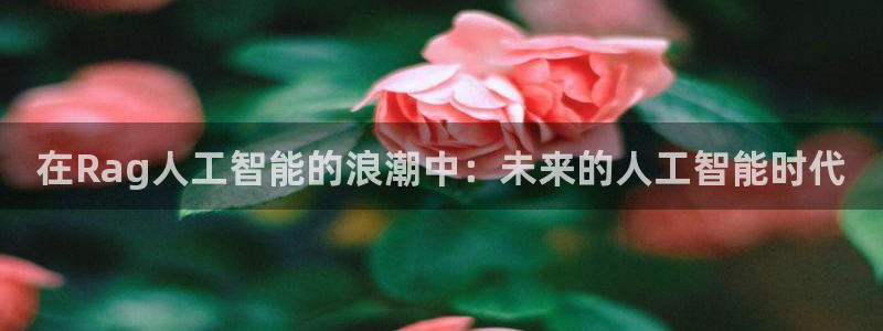 在Rag人工智能的浪潮中：未来的人工智能时代