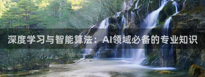 深度学习与智能算法：AI领域必备的专业知识