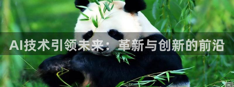 AI技术引领未来：革新与创新的前沿
