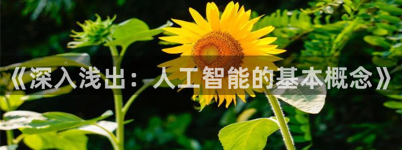 《深入浅出：人工智能的基本概念》