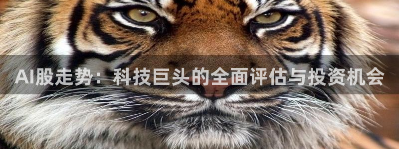 AI股走势：科技巨头的全面评估与投资机会