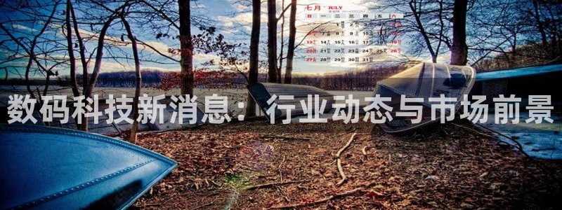 数码科技新消息：行业动态与市场前景