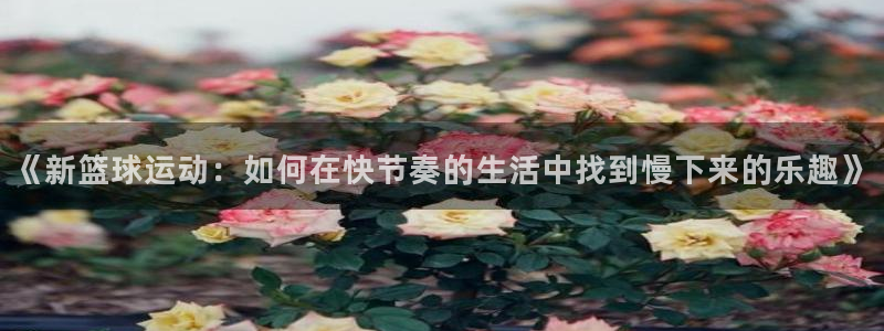 《新篮球运动：如何在快节奏的生活中找到慢下来的乐趣》