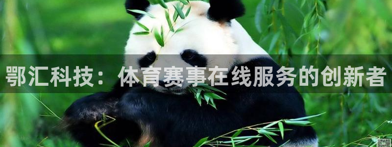 鄂汇科技：体育赛事在线服务的创新者