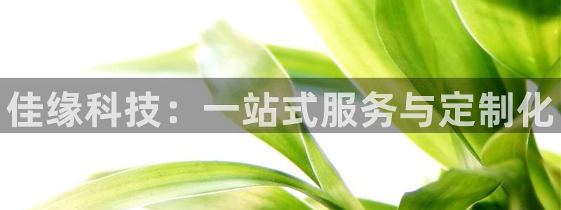 佳缘科技：一站式服务与定制化