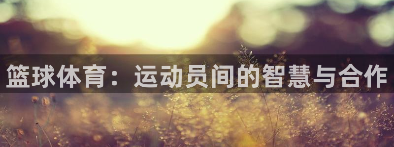 篮球体育：运动员间的智慧与合作
