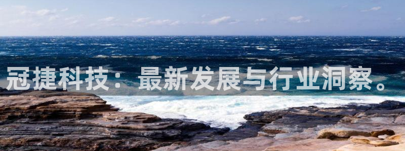 冠捷科技：最新发展与行业洞察。
