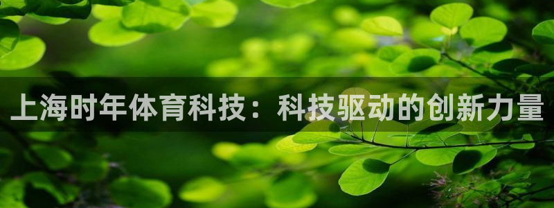 上海时年体育科技：科技驱动的创新力量