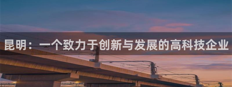 昆明：一个致力于创新与发展的高科技企业