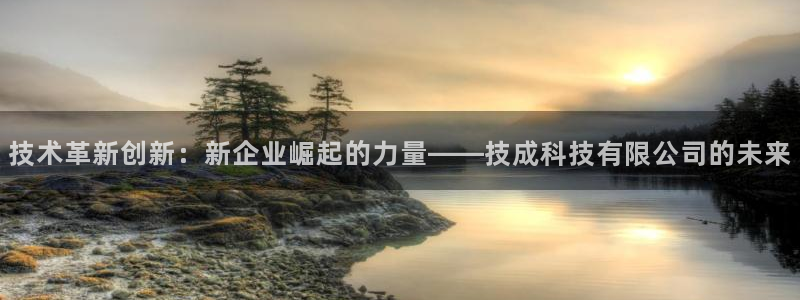 技术革新创新：新企业崛起的力量——技成科技有限公司的未来